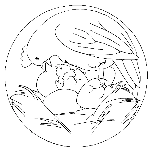 Mandalas Animaux 207